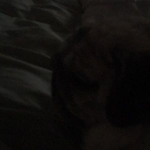 Meet your Posher, Amabelle